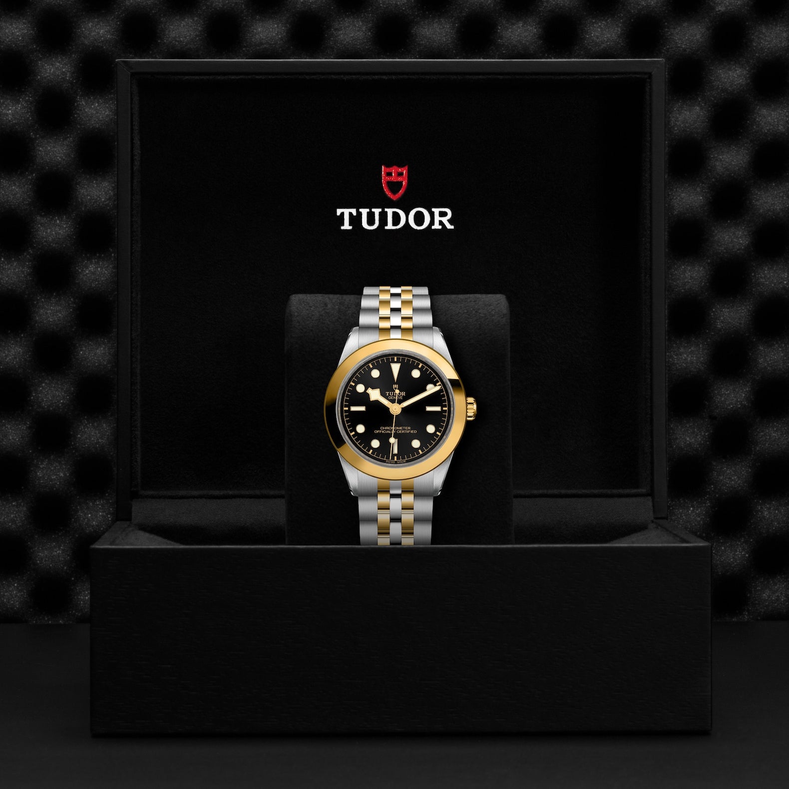 Watch in steel and yellow gold Black Bay S&G, 39 mm Tudor