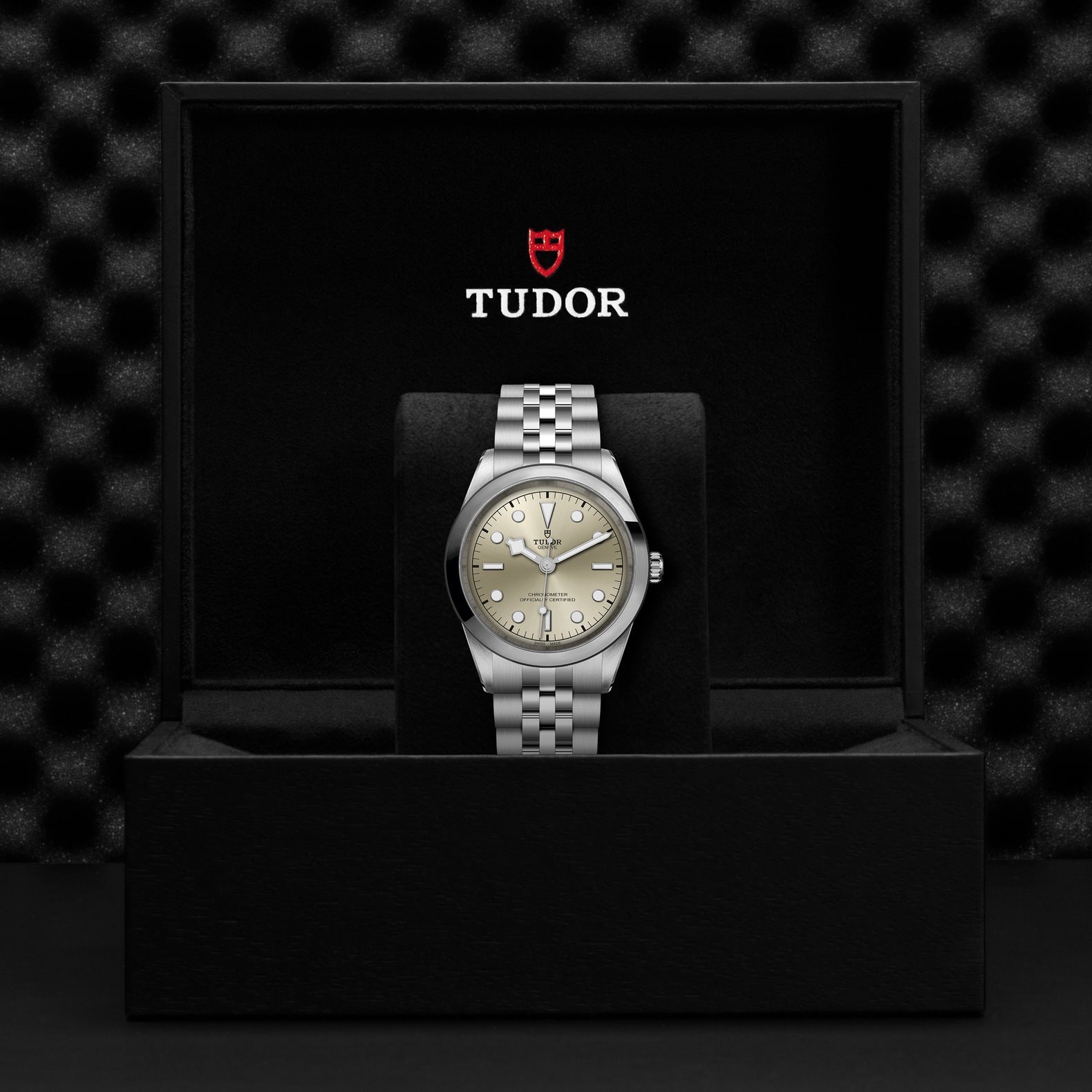 TUDOR Black Bay, 41 mm3