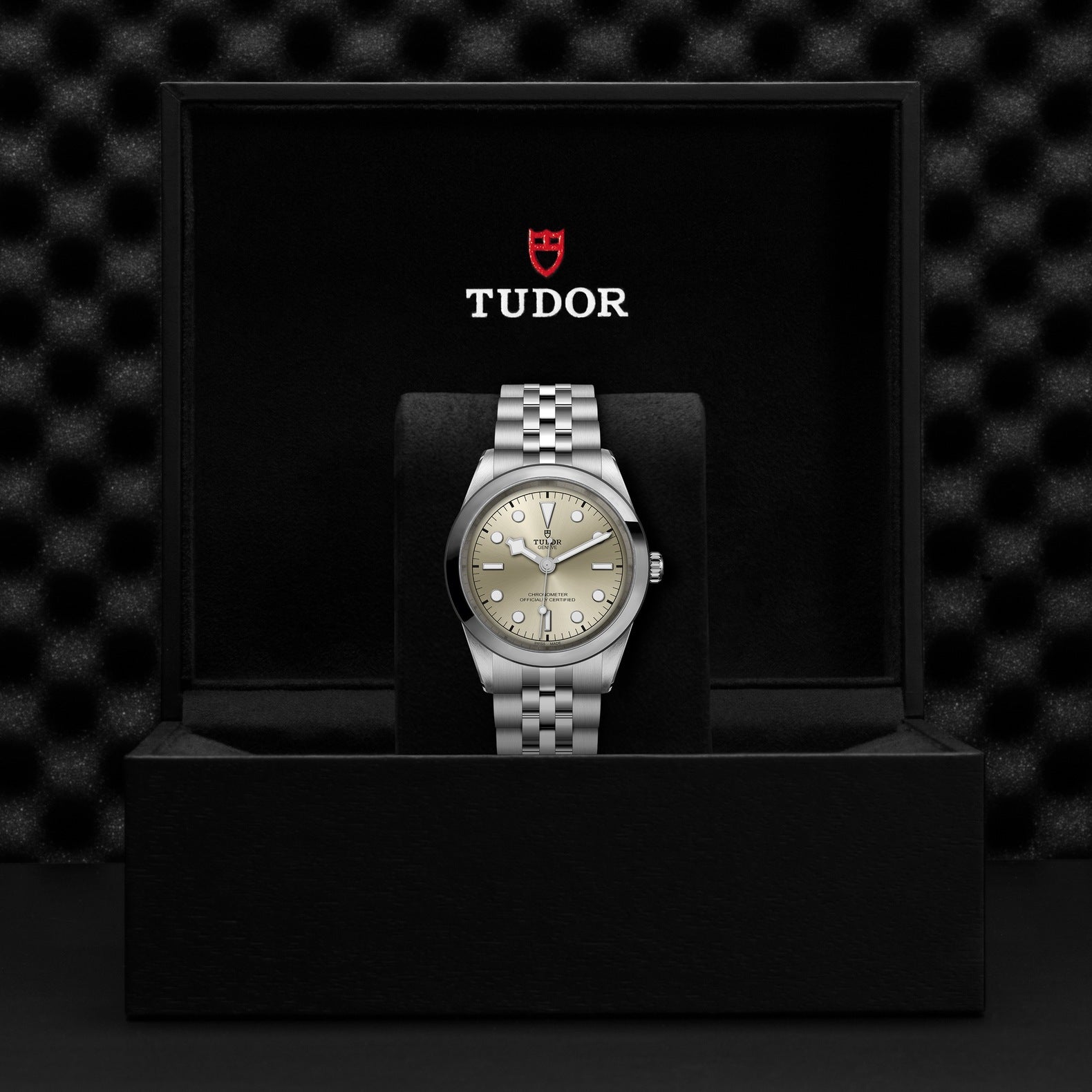 Orologio in acciaio Black Bay, 41 mm Tudor