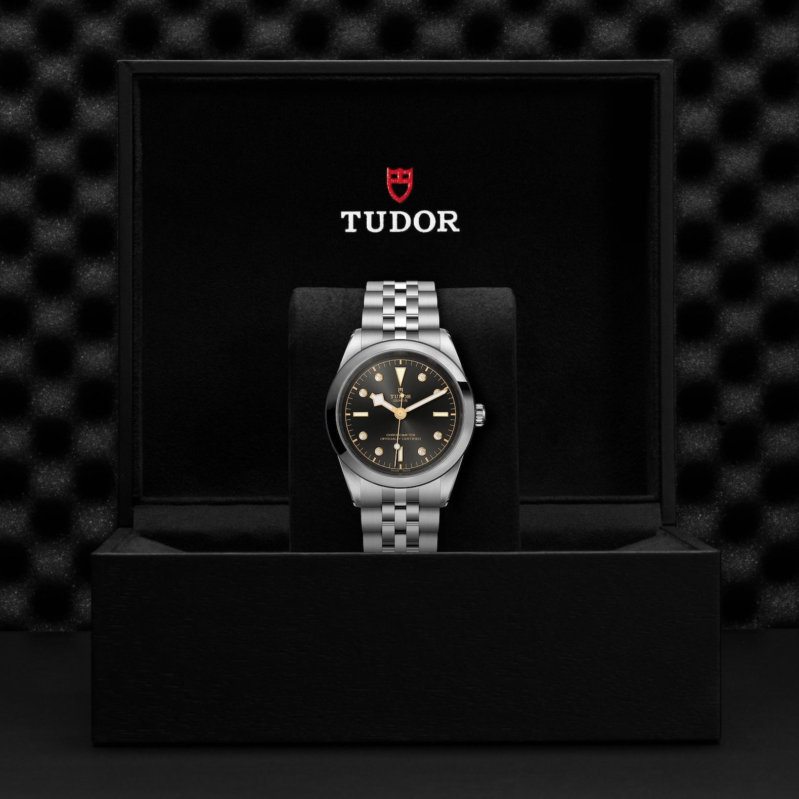 TUDOR Black Bay, 36mm3