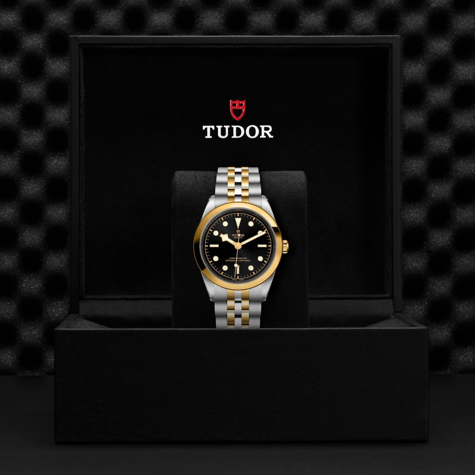 Orologio in acciaio e oro giallo Black Bay S&G, 41 mm Tudor