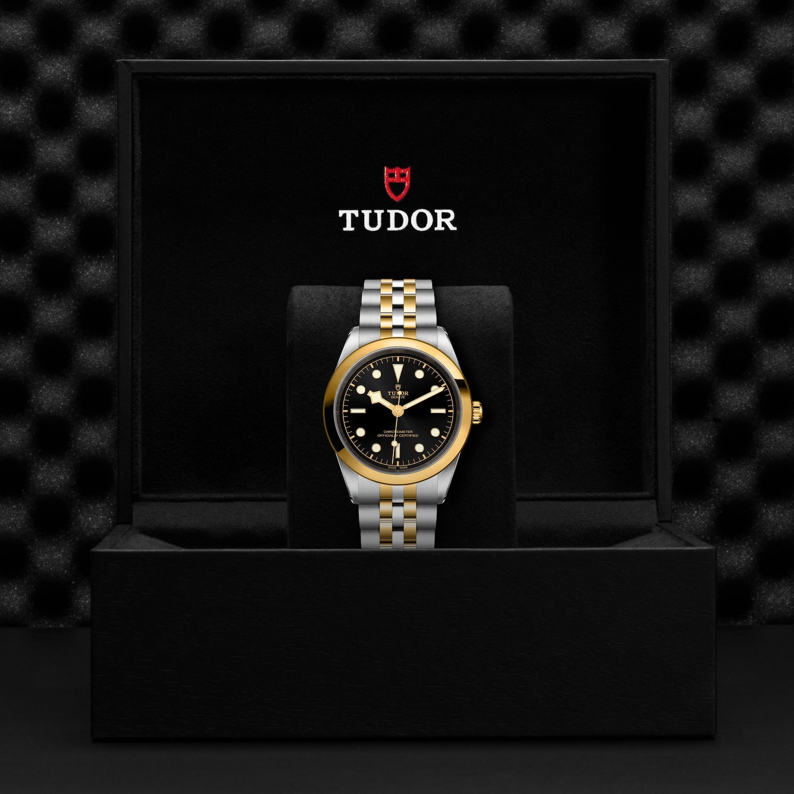 TUDOR Black Bay S&G, 41 mm4