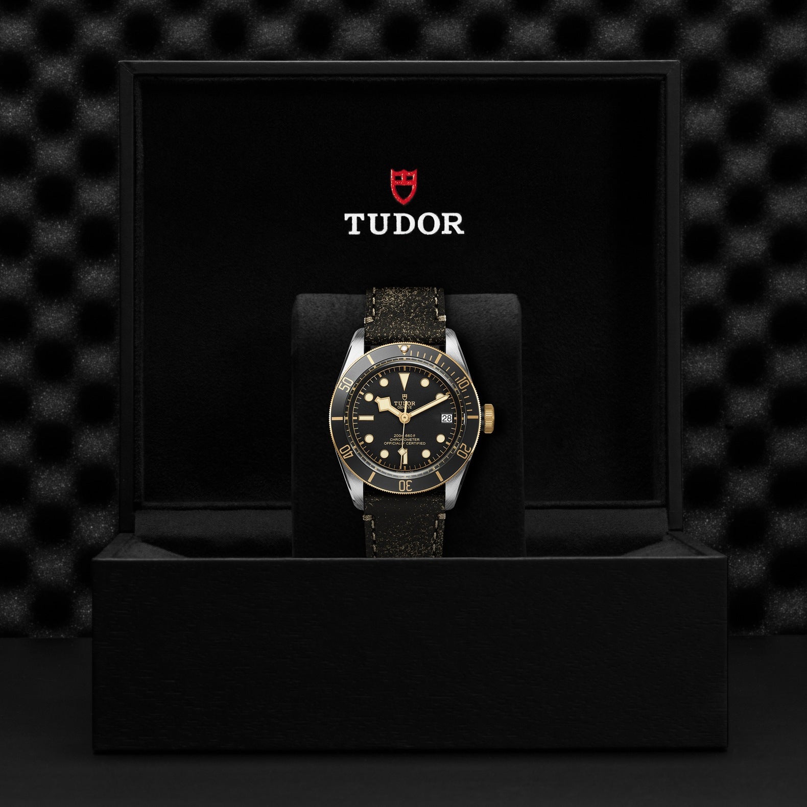 Orologio in acciaio e oro giallo Black Bay S&G, 41 mm Tudor