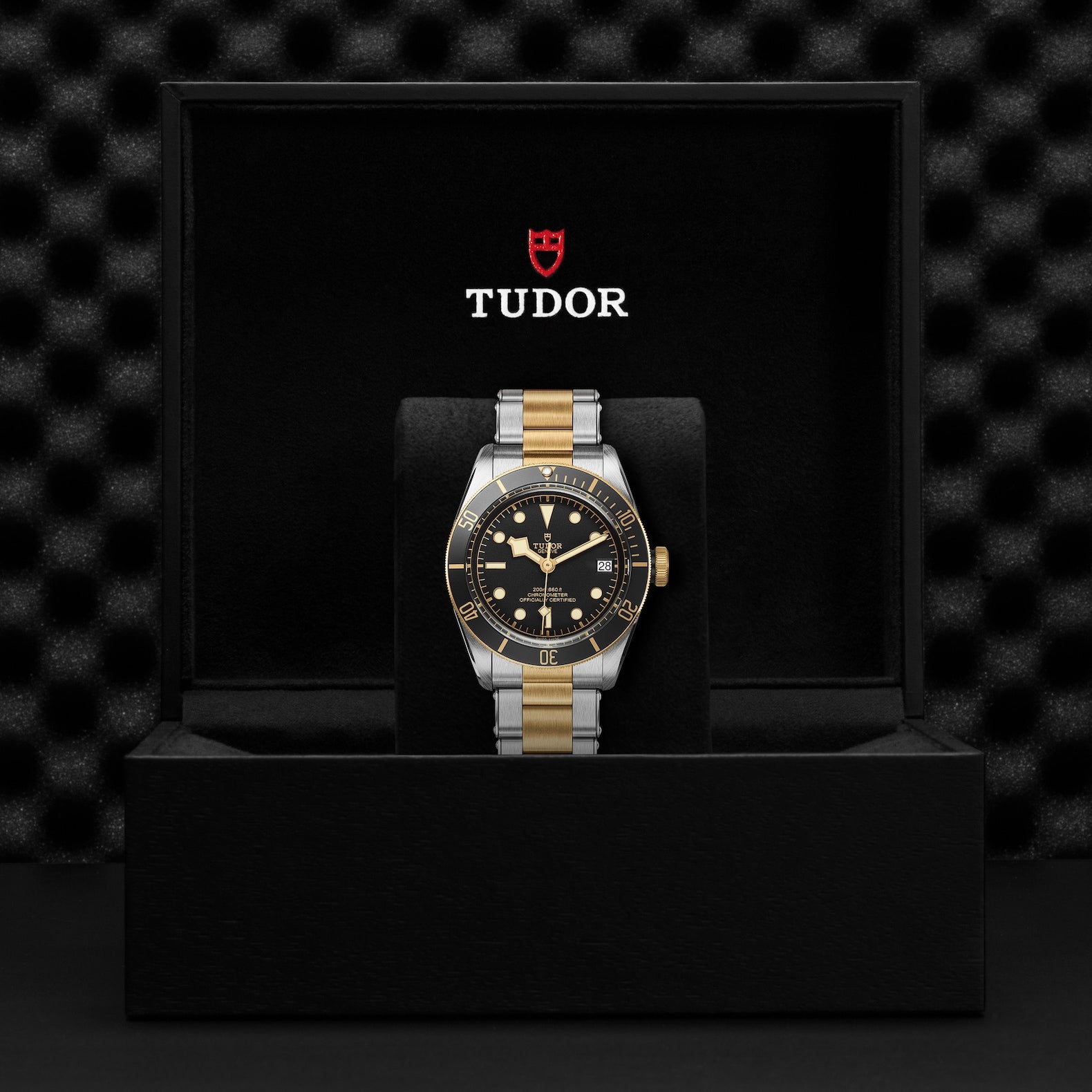 TUDOR Black Bay, 41 mm4