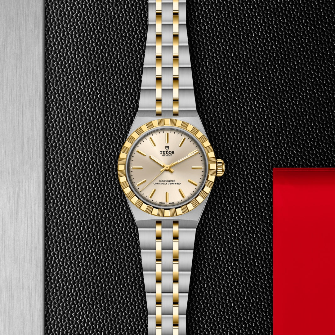 Orologio in acciaio e oro giallo Royal Tudor