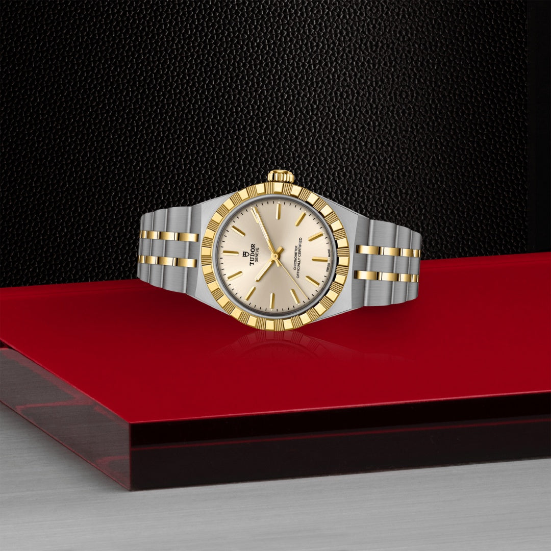 Watch in steel and yellow gold Royal Tudor