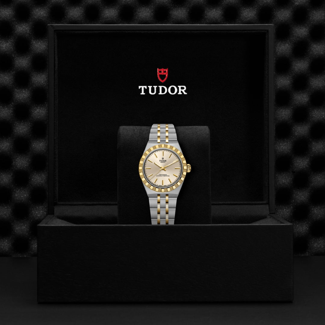 Watch in steel and yellow gold Royal Tudor